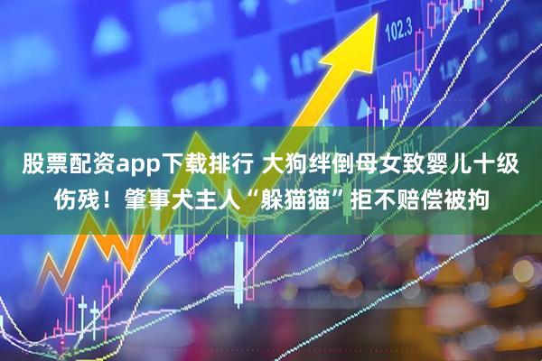 股票配资app下载排行 大狗绊倒母女致婴儿十级伤残！肇事犬主人“躲猫猫”拒不赔偿被拘