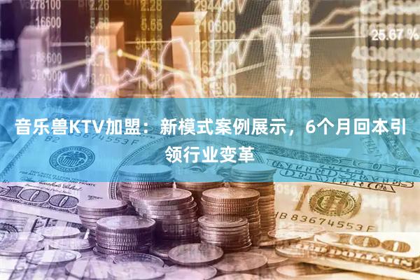 音乐兽KTV加盟：新模式案例展示，6个月回本引领行业变革