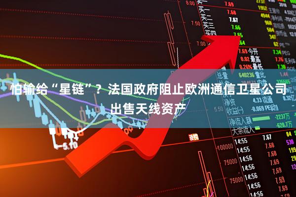 怕输给“星链”？法国政府阻止欧洲通信卫星公司出售天线资产